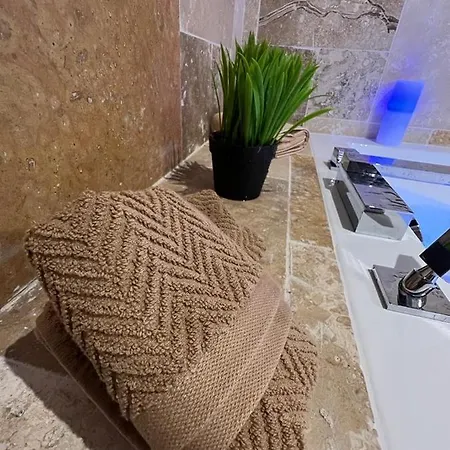 Apartment Le Balne Gare-centre Saint-Etienne (Loire)